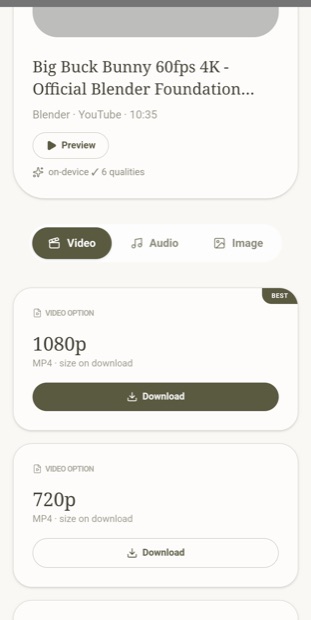Quality options listed for a video