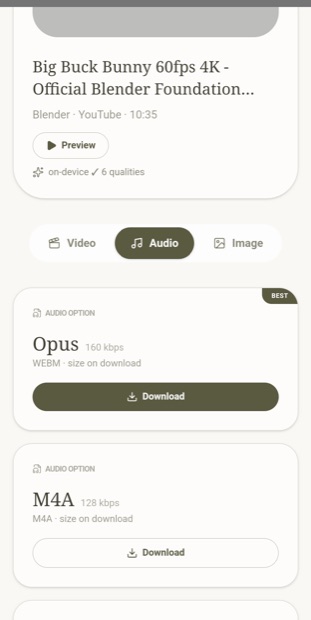 Audio formats including MP3